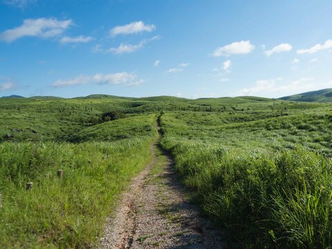 1c0030d05bf505ec5f02958444daa890