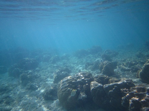 A216ad8733fbfe778a2cc80228678a2f