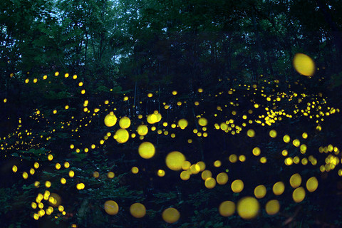 76e9affc755779c17229e2970e327528