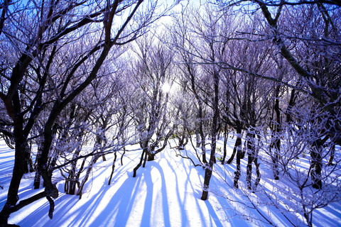 3363ee34b91b98e860f987c33396861b