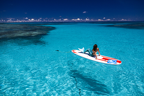 Fb4edd71870ed91d958a237996ccad8b