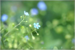 8bd8a7e42f668c7bd4bfc09c60d19ee5