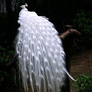 1bbda53b8f3d09f060ac8286bee5ce44