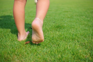 C56d86497c83b303ba9f711867ffbe1f