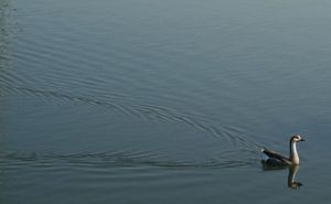 88282c2d795e46b85c283438f458fbfa