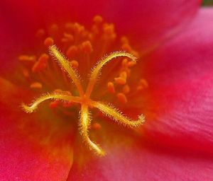 32cf6934df28d28e879c4fd5f74c5929