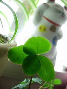 5b5b9eb68490de02778f1aeec5679f42