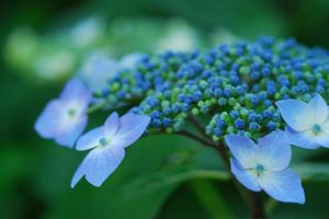 C63a4398441c00bae63a9d030348ea2b