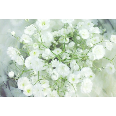 C4069e2843de608542330f50f83ad1a5