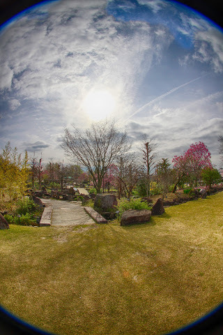 675d62f2ad407184b63232e20282265c