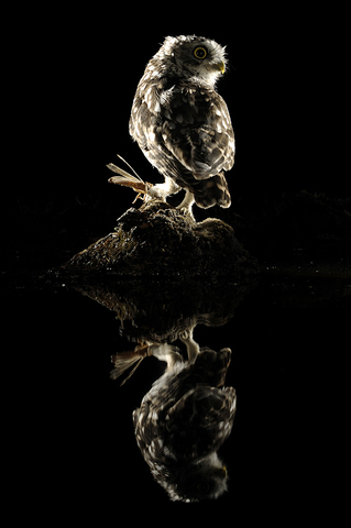 E61784088c54d2a2d42393780a6d8318