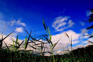 Df7f5f8fd3df163a5febcd0bbe14d4b2