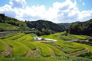 193894dbaebb3d0cb3f93c619b9595f3