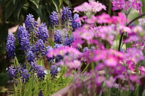 9716ea0149d720f375a958ac8d3f3981