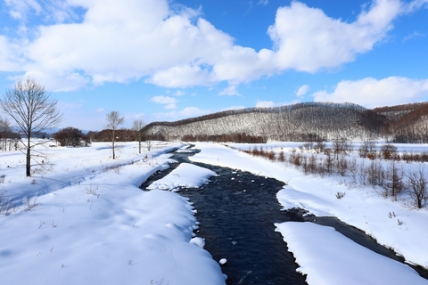 42a068446abe6ab45529382c1cc6e001