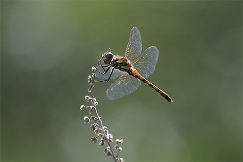 39fa3b91af8fa0fa13b94e2cf43911c7