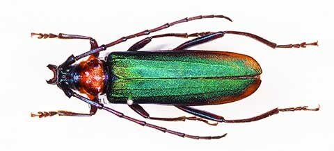 F0c370ab33959aaadab8a2318615818c