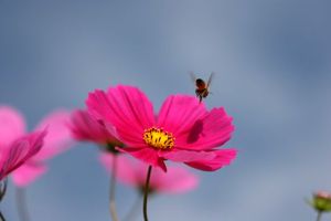 C829e9cf2302ec7417e8844e9b4a3176