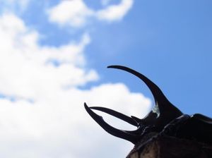 A672fc6cbb95f7b94e914a6ccb351f6f