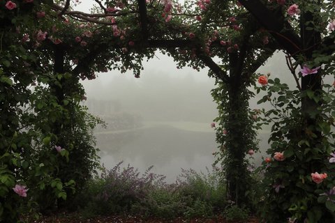 9c7bf9fcc321b0a57fccd5318f46bdf8