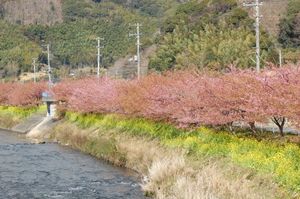 47fa3bdfa758bac6aaf9fc5cb963ed3f