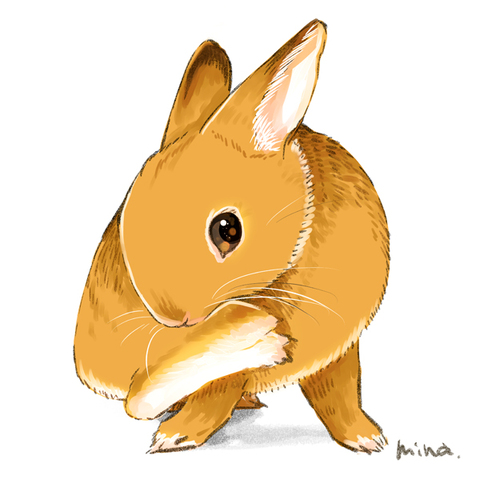 B2f2030af2d4b7dd1e656301007b9788