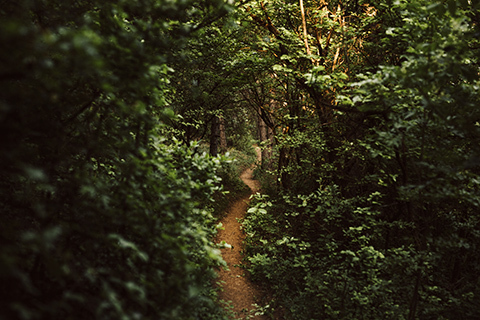 1ee0e71ce13d10712d69ab0f0a663dab