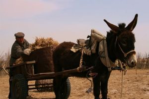 15bc0fe746ee999b1fcd39f4fcec38bb