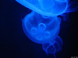 2788767e79a07dd866da749bf3bb7aaf