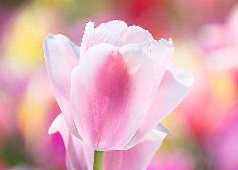 2eb703e395a0776408449226b7123285