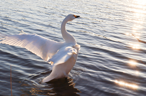 Ed10ac106c456f2092422d4a89ed9e2e