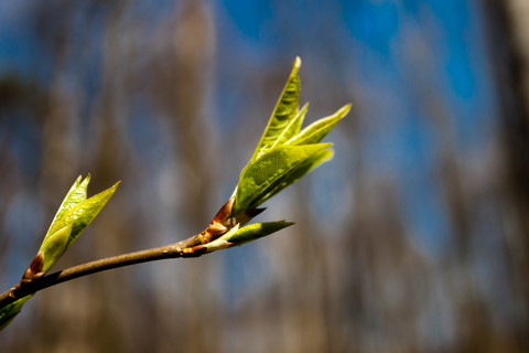 1adbb9d65d4b56a5ede5a901d8060588