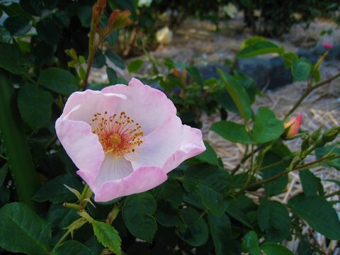 46ec66098587ccc951774032ce9a9af4