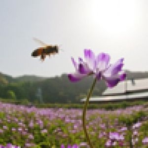 092c3dc0dcc852c42ec820486dfd3e6c