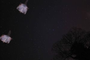 4fc414d31170363ef4f0199150bee924