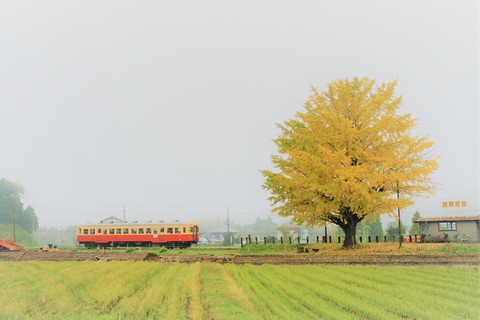 2c0083783289acf04c0a78e1801b883c