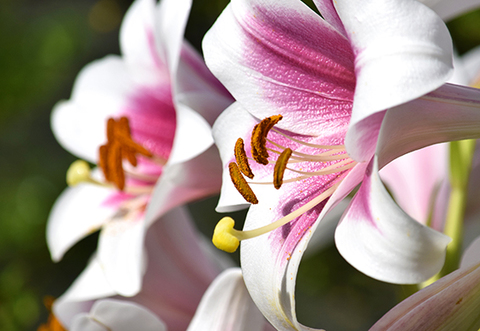 867b2cb6877ebf2468e13e96741a777e