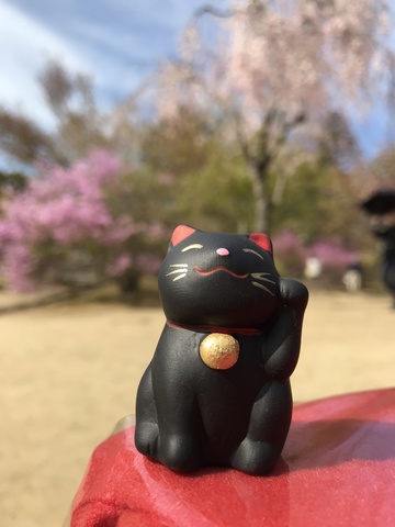 1463f8132547a01b5a8918e875021f3d