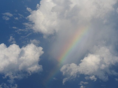 33ec4d1552ed19c9ccccb16c3b90ccb3