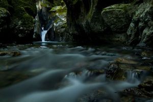 648d0047ee3c3cbc2074788f2f6f6d38