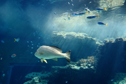 0ed7b6f749357b2c8c29bf4383ccdb76