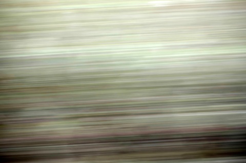 5ede8b18db7b2ba35eadb4ad0da58797