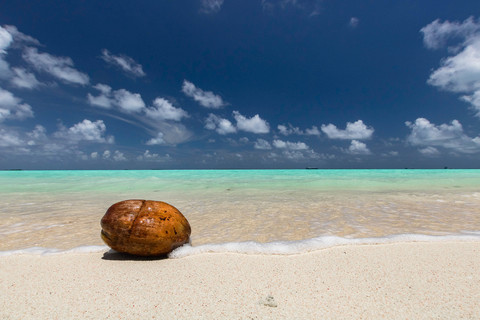 9c1a3f6757dbdd3fbddfe5a0f24785c1