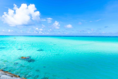 F6e0e3d36edcf0e8ec1460f8ca7cdb44