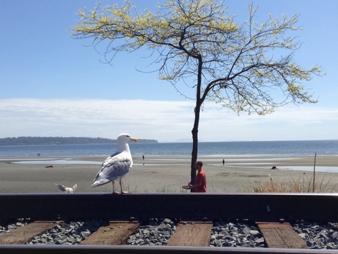 1fb861e508878f6c9f68596966b05f1d