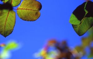 C3acb3eab227cc5f9f3c1b749b83783f