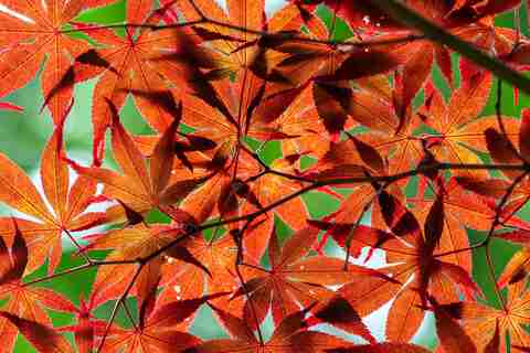 2fcc3b980d3ed94ff1b045c6ef94a022