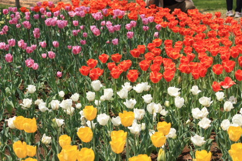 535bd289e817d93d46806f600674b6d5