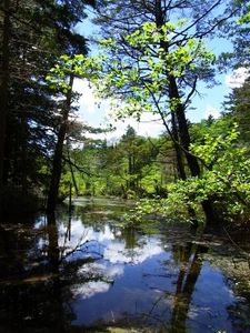 032bba20582aa926dae5cc54451fc361