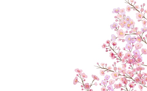 1a9a4c0555768d277affcc81f530a0fc